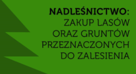 Nadlesnictwo